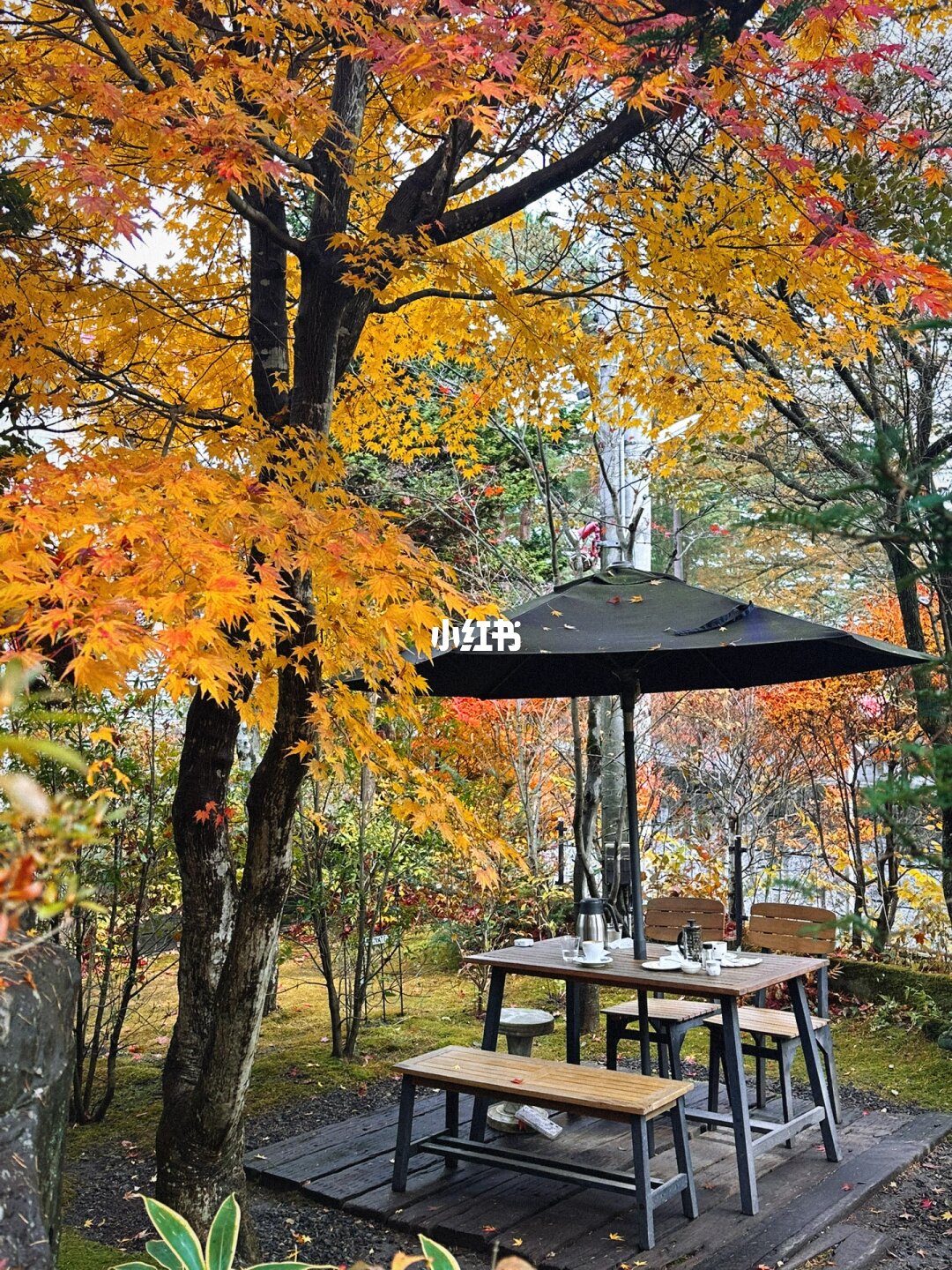 丸山本店林中戶外座位